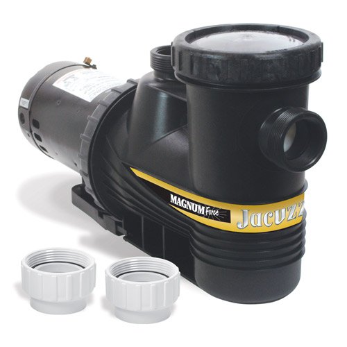 pompe piscine jacuzzi magnum 1500