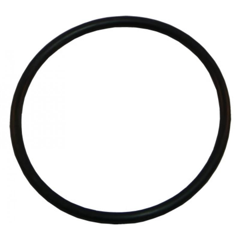 Aqualamp ORing Pool Supplies Canada