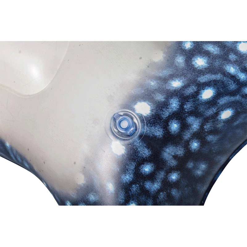 H2OGO! Whaletastic Wonders 2-Person Kids Ride-On Pool Float