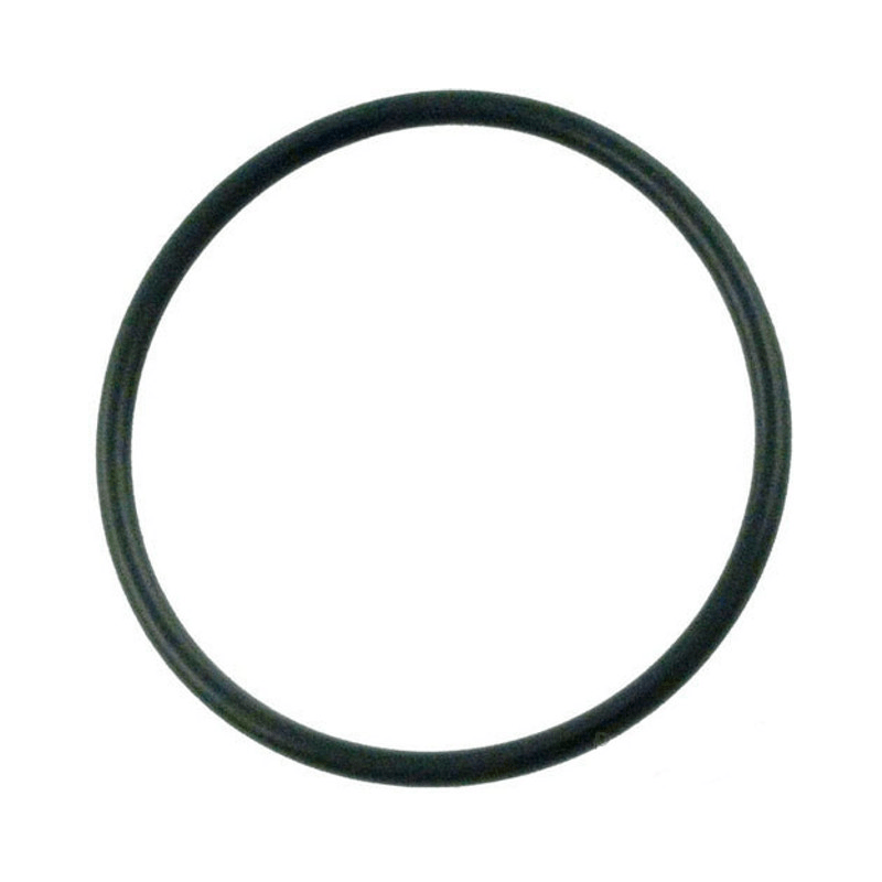 Aqua Flo 2 Inch Union O-ring 230 - 92200210