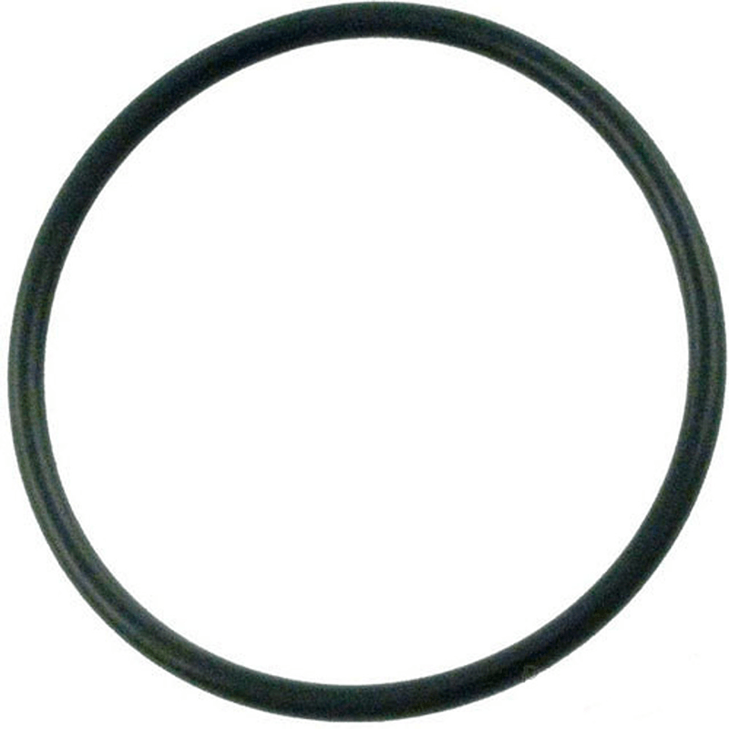 Aqua Flo FMHP FMVP Volute O-ring - 92200090