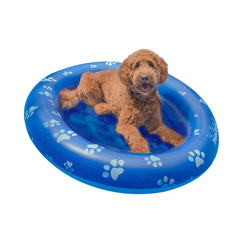 Pet Ride On Pool Float Up 100 Pounds Pool Supplies Canada