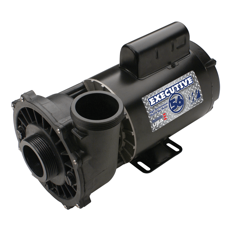 Waterway 1.5HP 2 Speed 230V Executive Pump