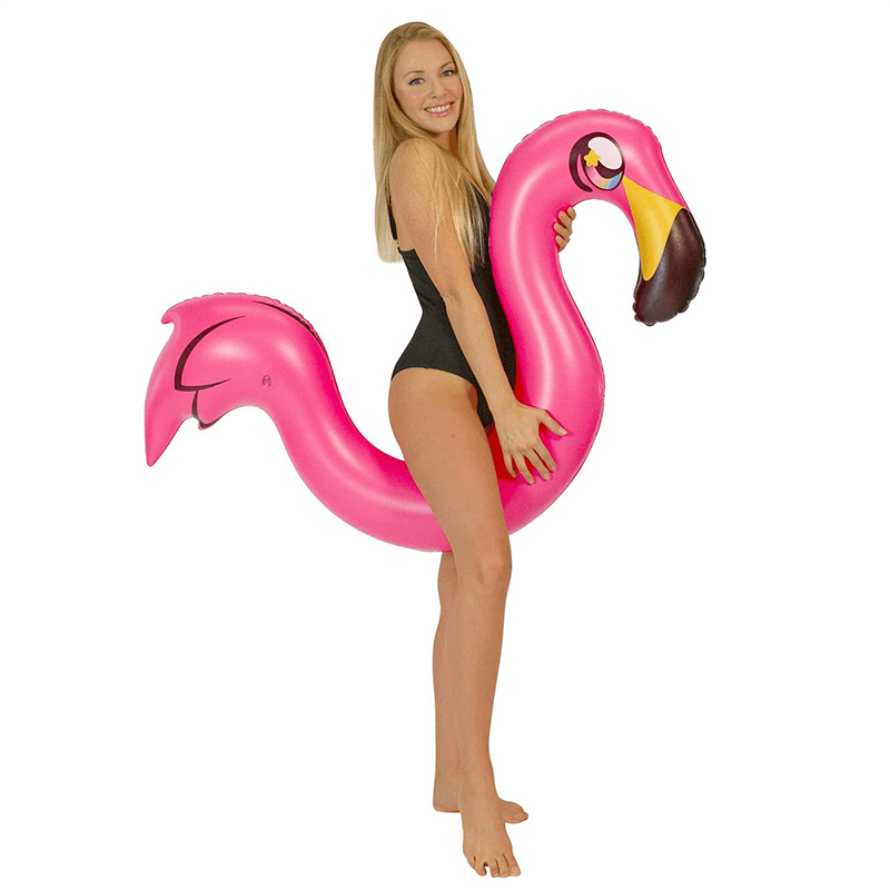 Open Box Pool Candy Ride-On Flamingo Pool Noodle