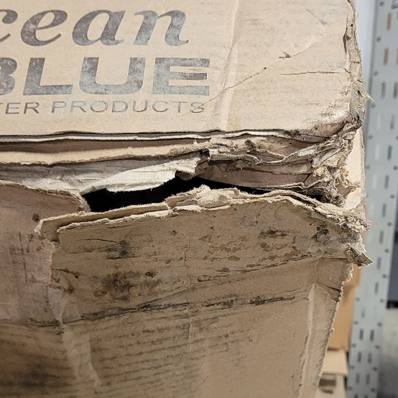 Boîte ouverte Échelle de 54 pouces à cadre en A pour piscine hors terre