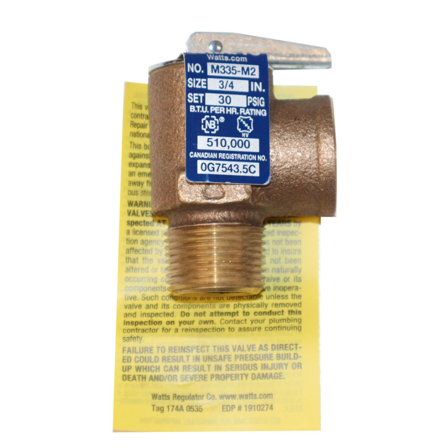 Raypak 3/4 Inch Pressure Relief Valve 30 PSI