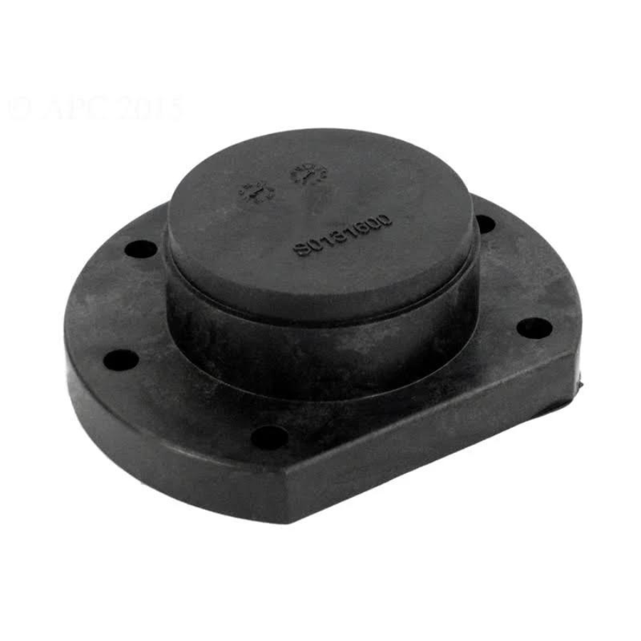 Jandy Return Header Cap and O-Ring