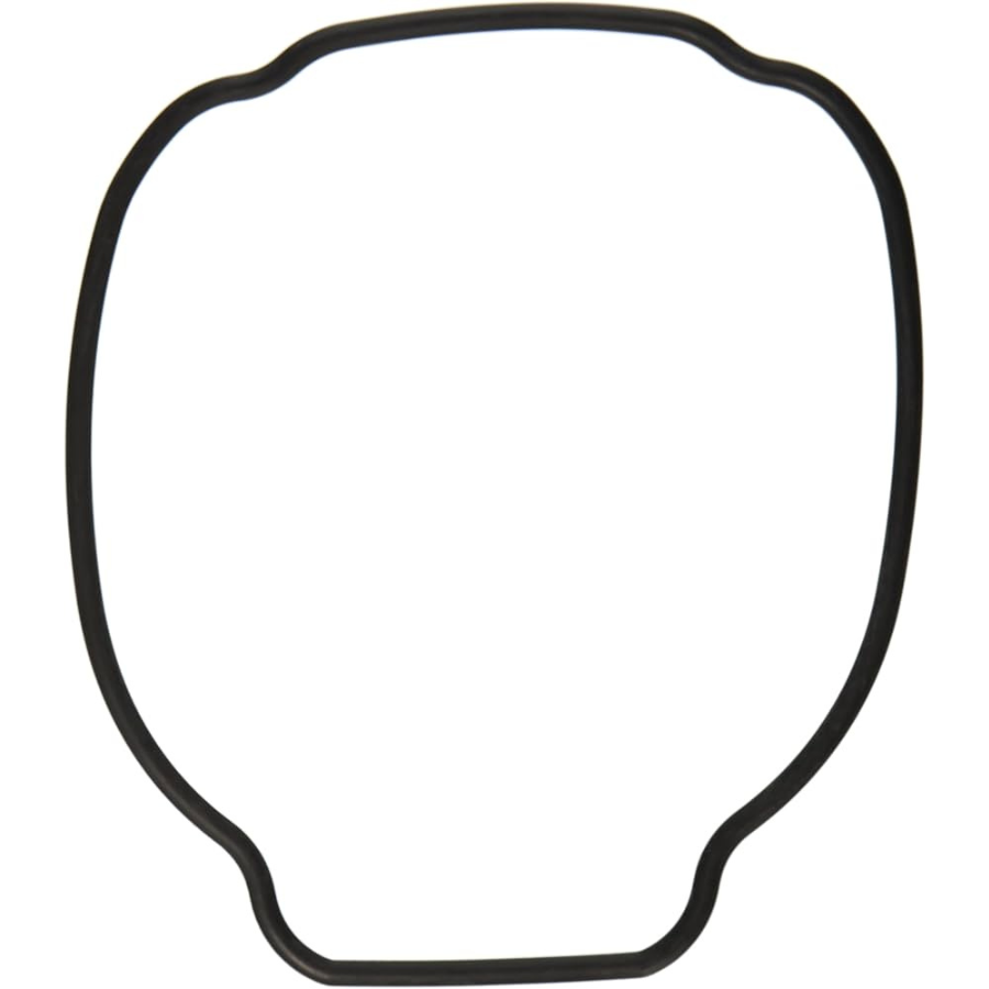 Hayward Housing O-Ring