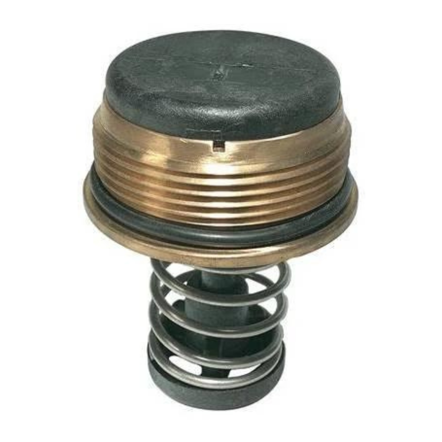 Pentair 460923 - Bypass Valve Kit