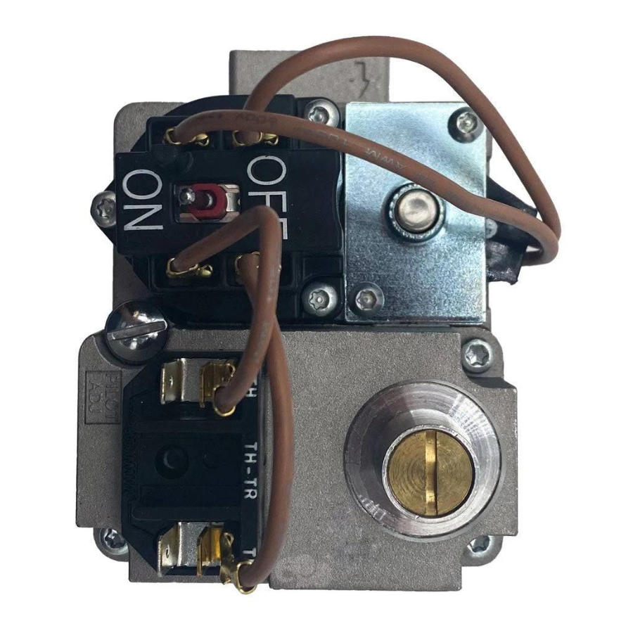 Pentair 420010051S - Combination Gas Control Valve Kit