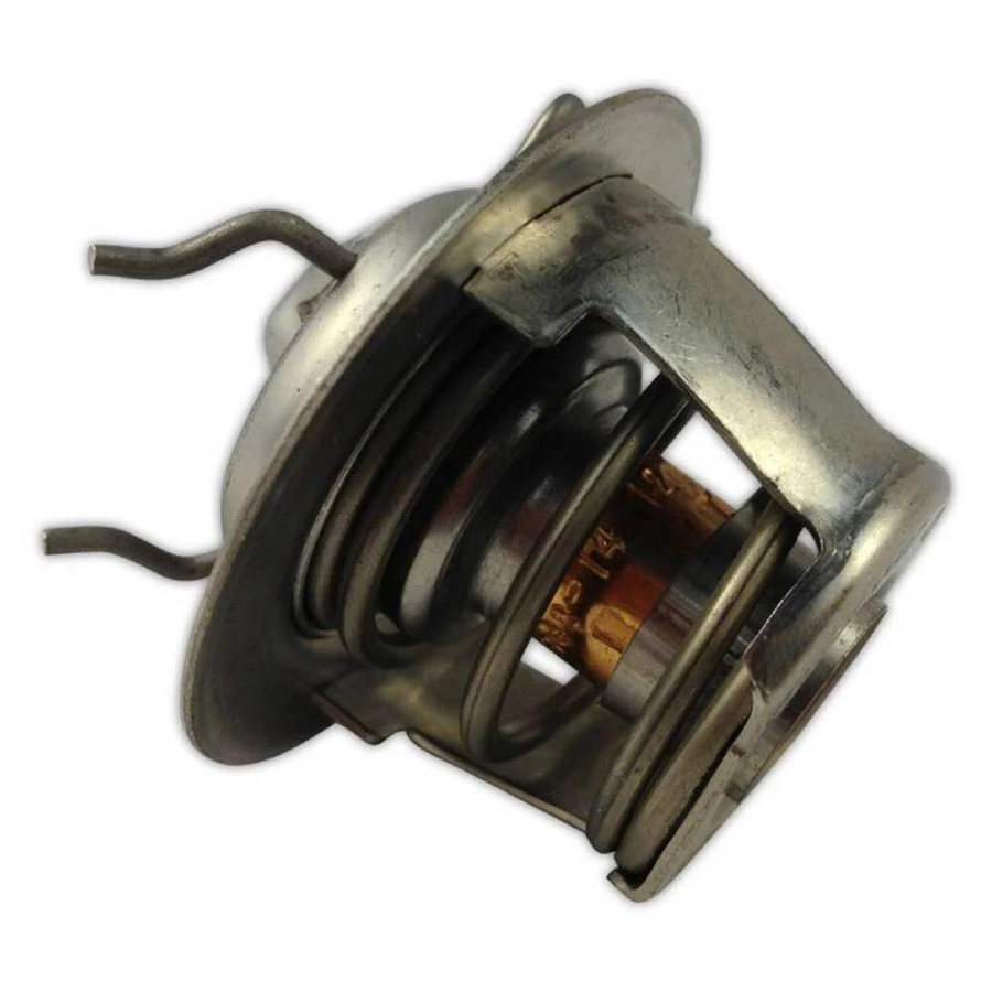 Pentair 380000007S - Thermal Regulator with Spring Clip