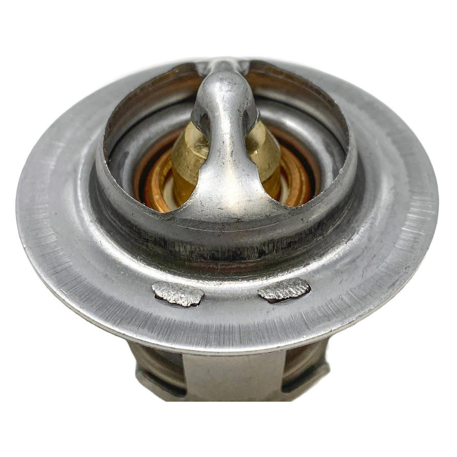 Pentair 380000007S - Thermal Regulator with Spring Clip