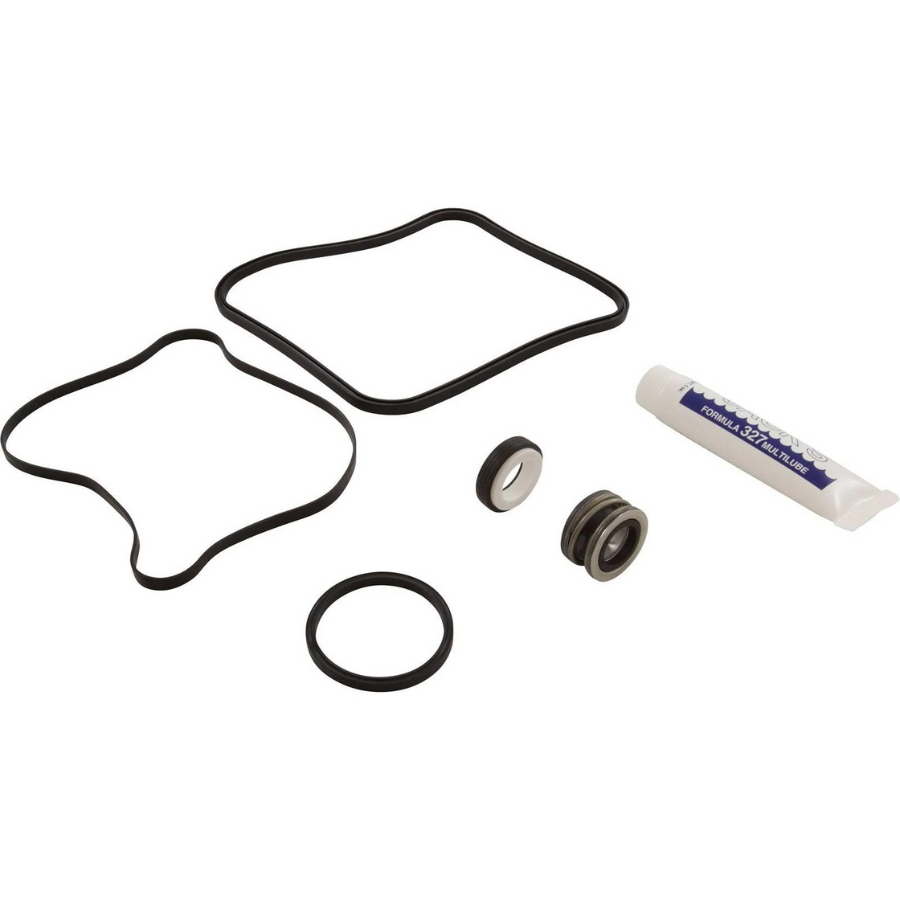 Hayward SPXHKIT3 - Quick Pump Repair Kit