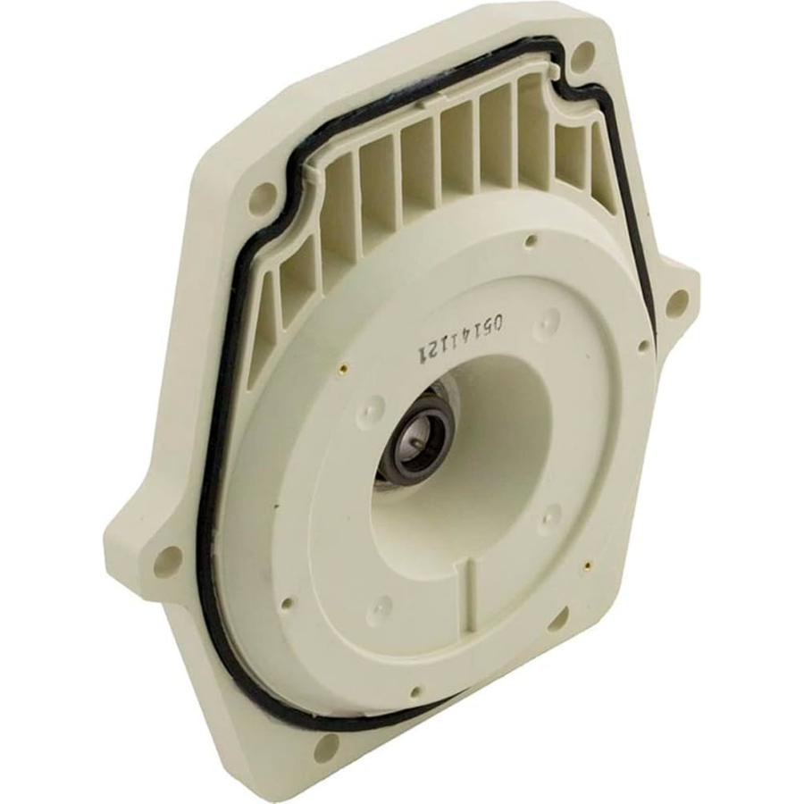 Pentair 350202 - Plaque d'étanchéité avec joint