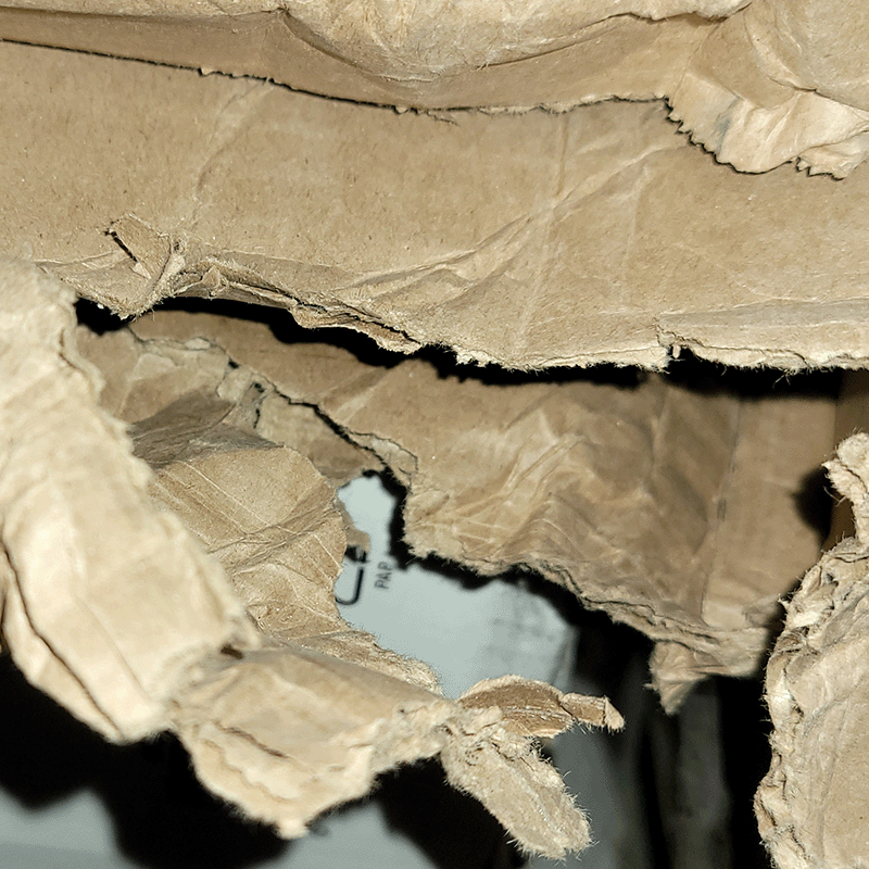 Open Box Oasis Drop In Inground (Hand Rail Pack Only)