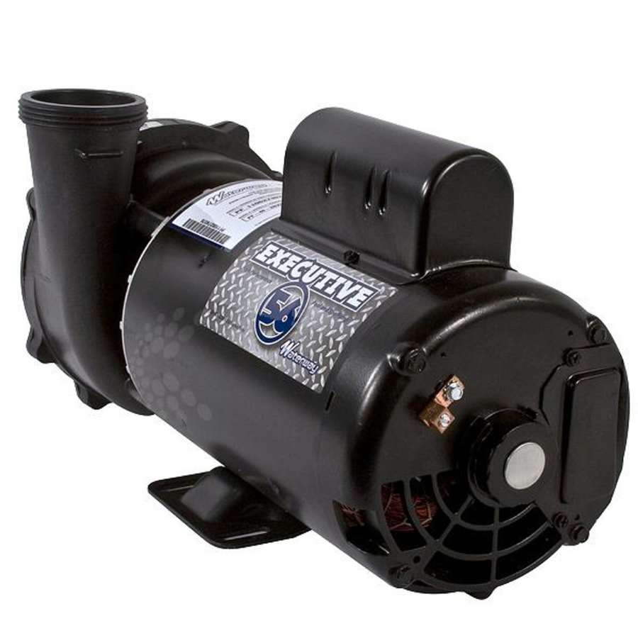 Waterway Executive 4 HP Spa Circulation Pump