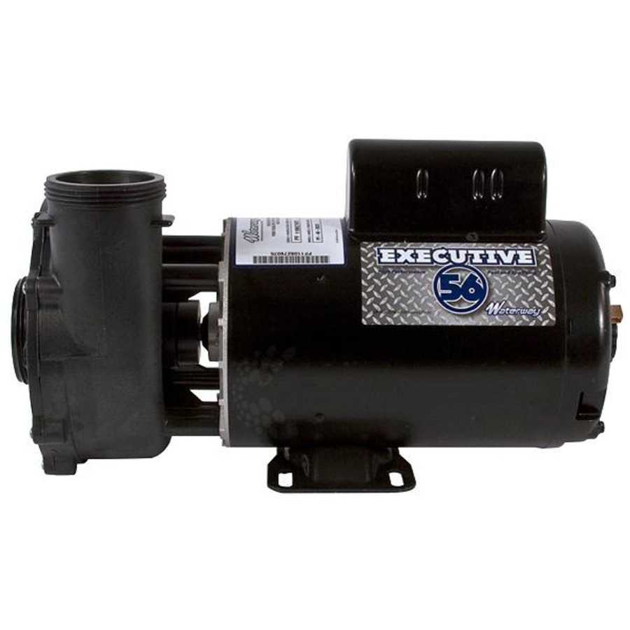 Waterway Executive 4 HP Spa Circulation Pump