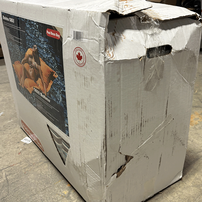 Open Box Oasis Bean Bag Pool Float