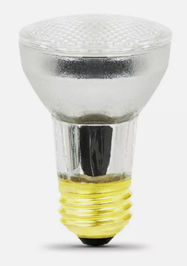 Zodiac - R0450505 - Flood Lamp 100W 120V Small White Light