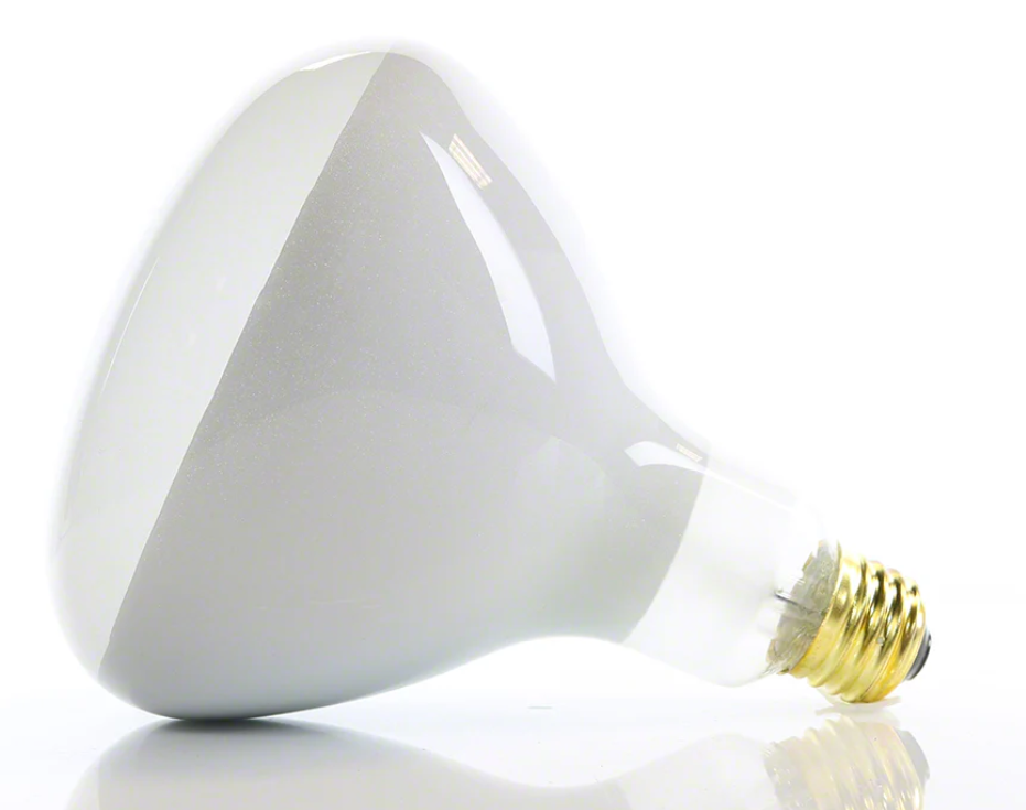 Discontinued Pentair 79102100Z - Kit 500W 120V Bulb Sunglwii