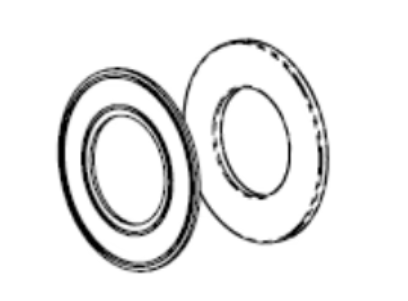 Pentair 620055 - Globrite Fbrgls Replacement