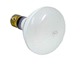 Hayward - SPX0504Z4 - Bulb-500Watt-120V Mogul Base