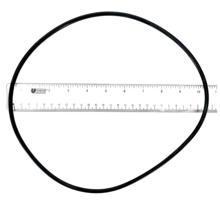 Zodiac R0446300 - O-Ring, Backplate Shp, Php, Mhp