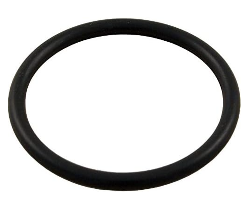 Pentair O-Ring
