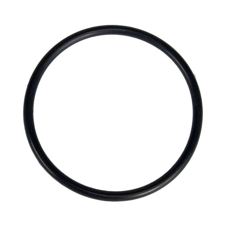 Zodiac R0622000 - Diffuser O-Ring, Replacement Kit