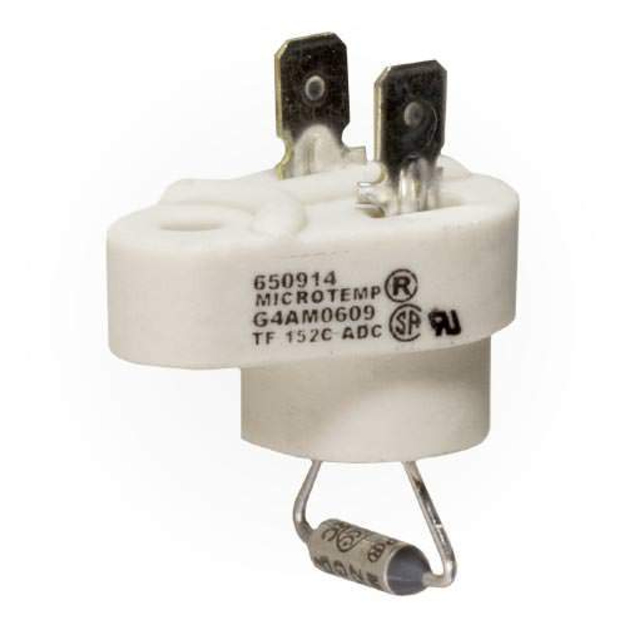 Raypak High Limit Switch