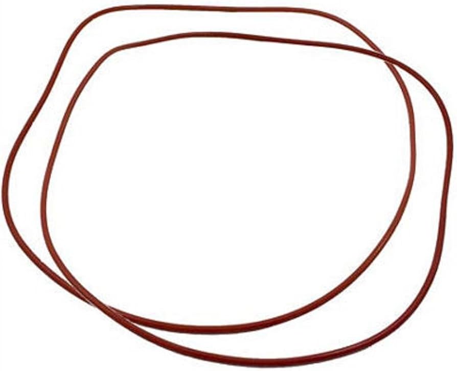 Raypak O-Ring Gasket - Pack of 2