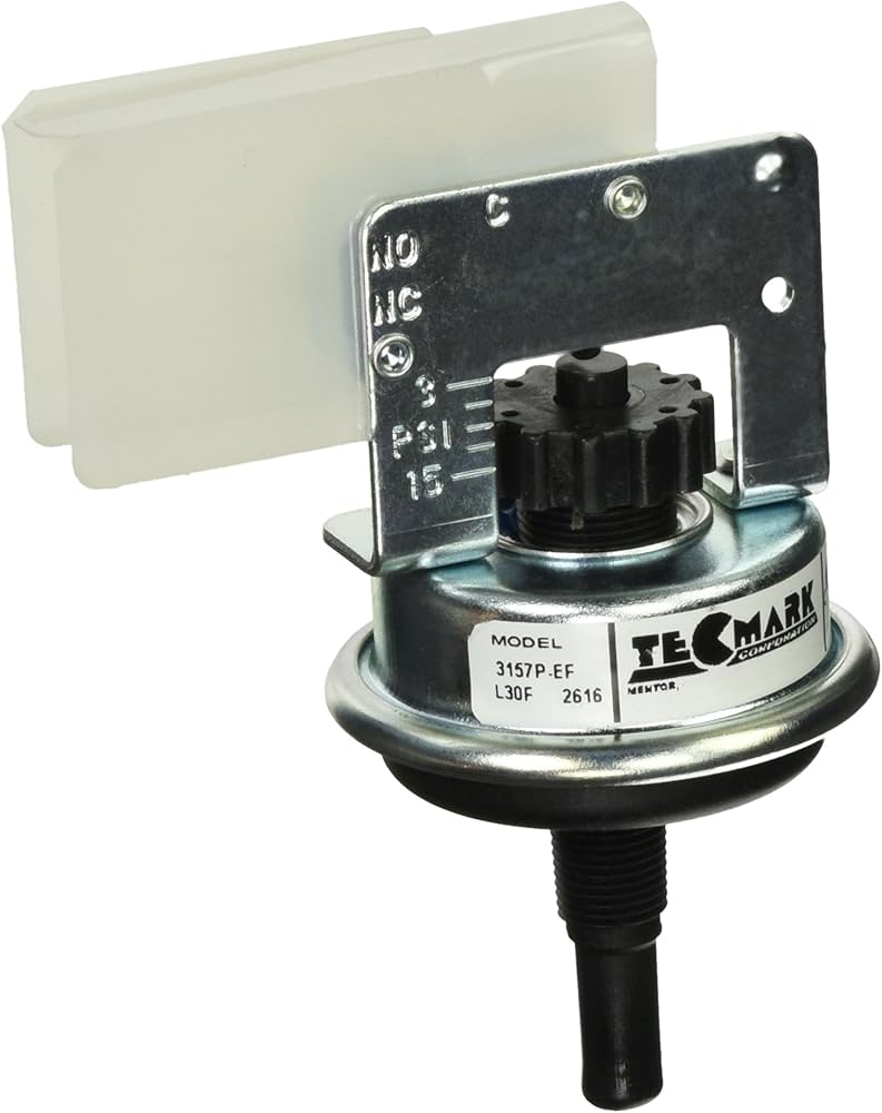 Raypak Pressure Switch Kit