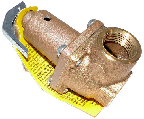 Raypak Pressure Relief Valve