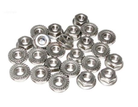 Raypak Flange Nut Kit