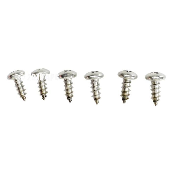 Hayward AXV065P - Pool Vac Upper Body Screw (6 Pack)
