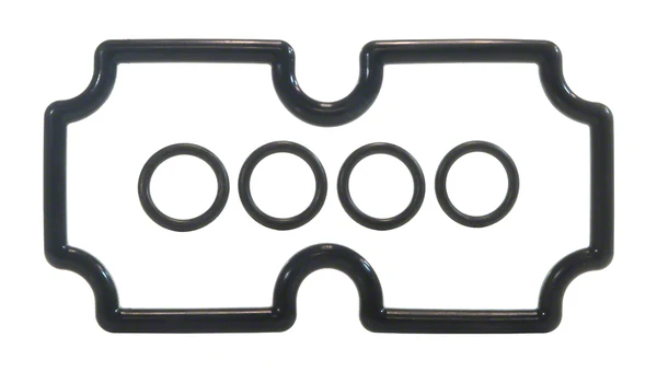 Pentair 474973 - O-Ring Kit Mt125
