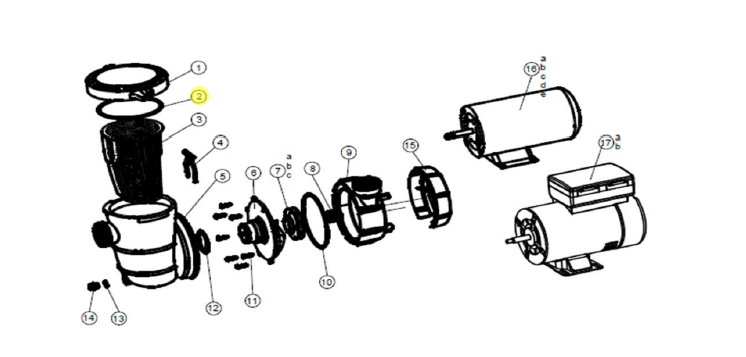 NorthFlo O-Ring for Above Ground Pool Pump