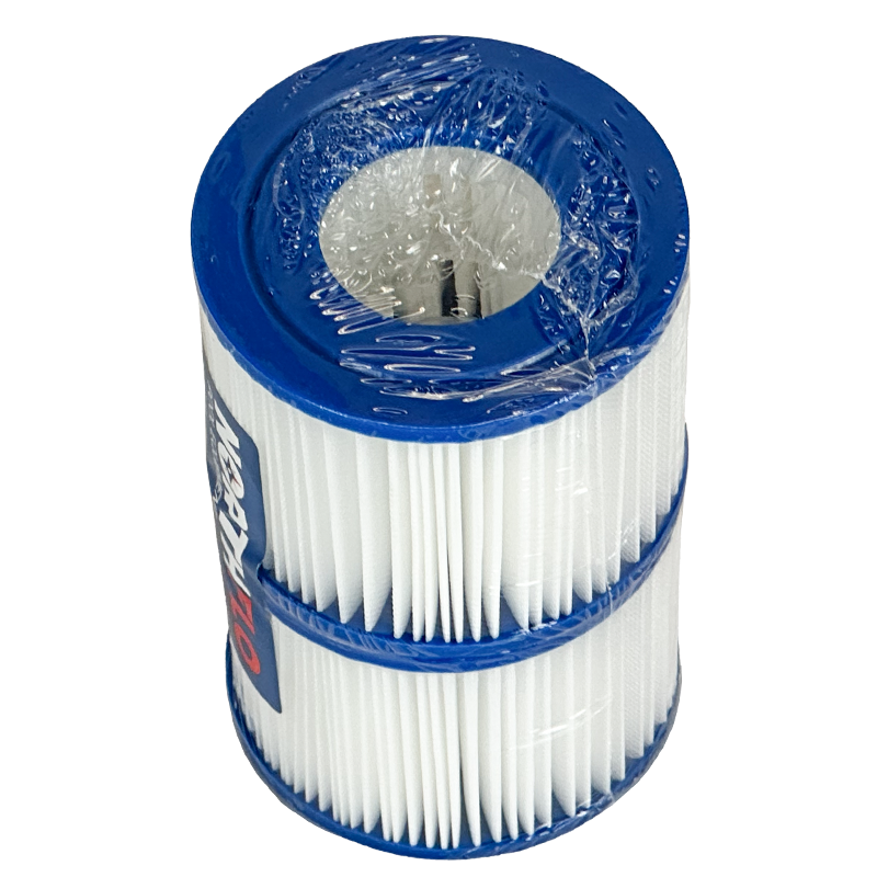 NorthFlo SaluSpa Type VI Cartridge Element - HFTYPEV102NF - Pack of 2