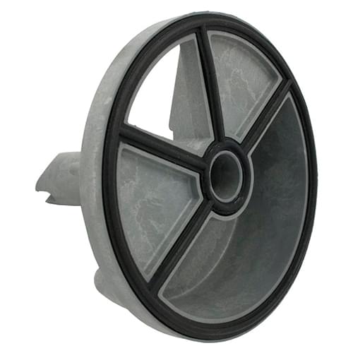 Pentair 149620017 Plug and Gasket Assembly Pool Supplies Canada.