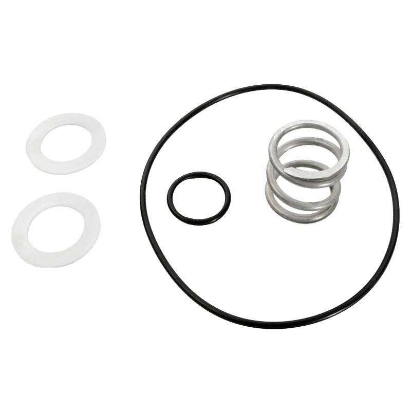 Pentair 149620035 - Spring and O-Ring Kit