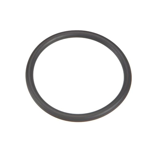 Pentair/Sta-Rite 355051424 / 355051424Z - Standpipe O-Ring