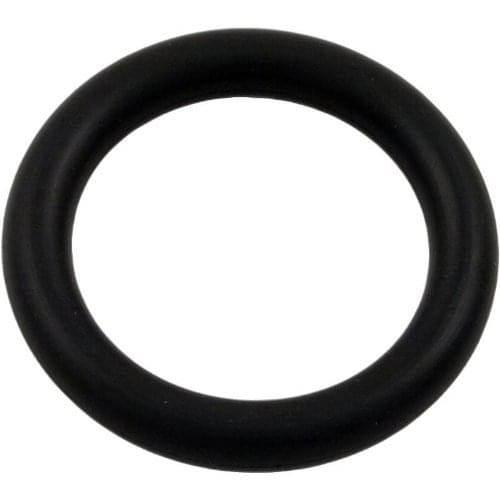 Assemblage Bulbe et Anneau - Pentair 79116900