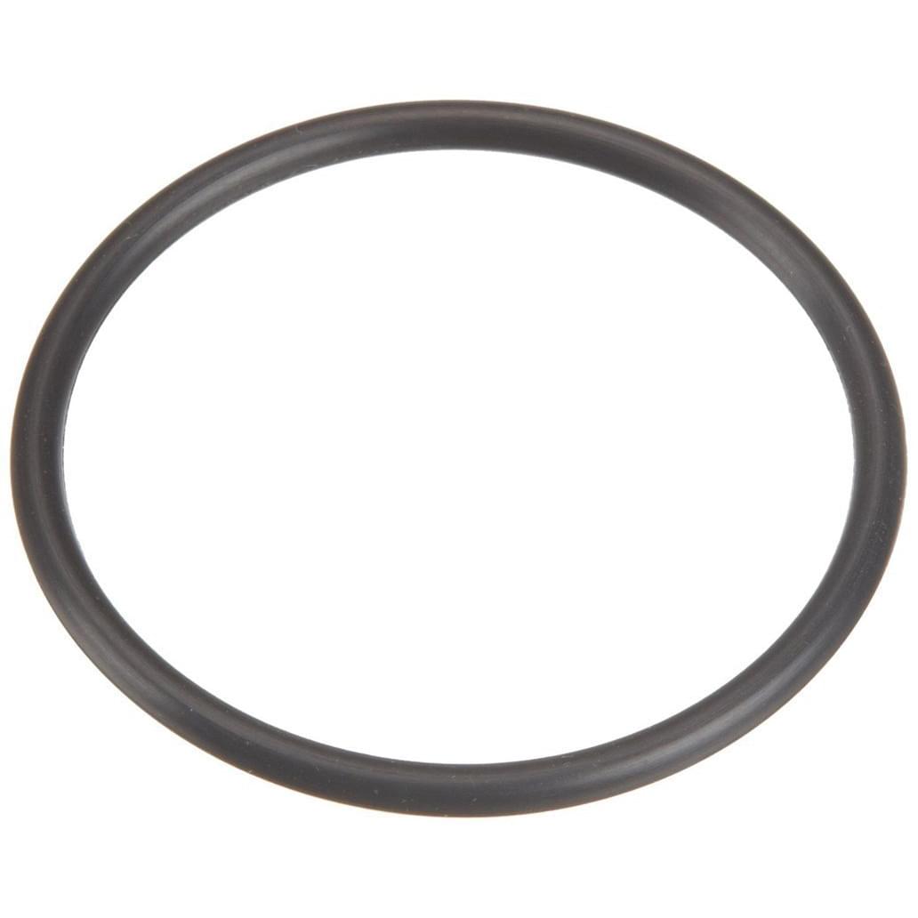Pentair O-Ring