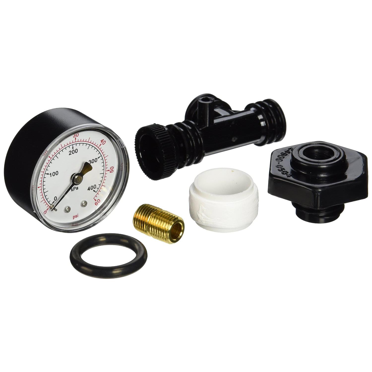 Pentair/Sta-Rite 248500105 - Valve and Gauge Assembly
