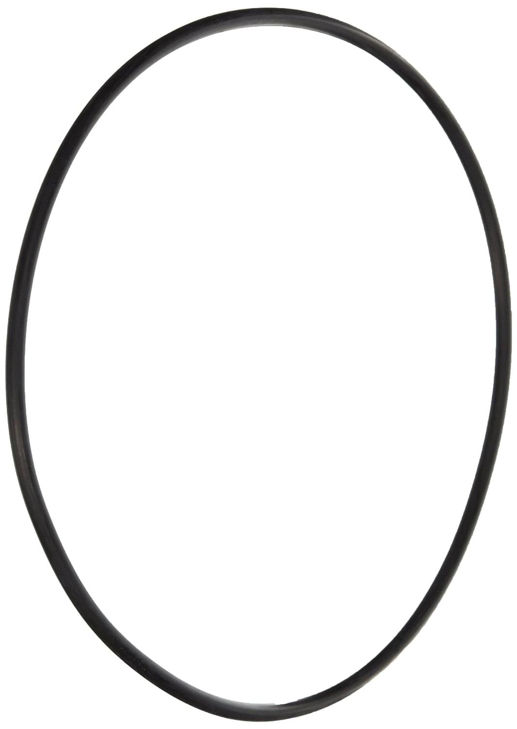 Pentair O-Ring