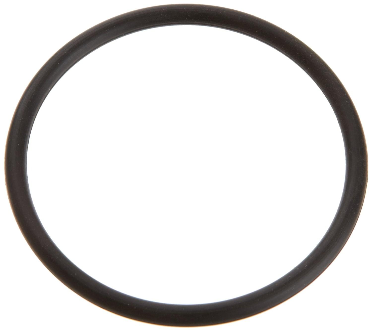Pentair O-Ring