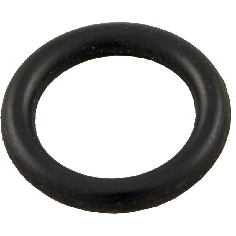 Pentair O-Ring