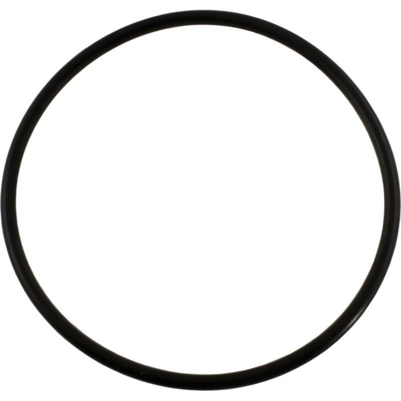 Pentair 355227 - O-Ring