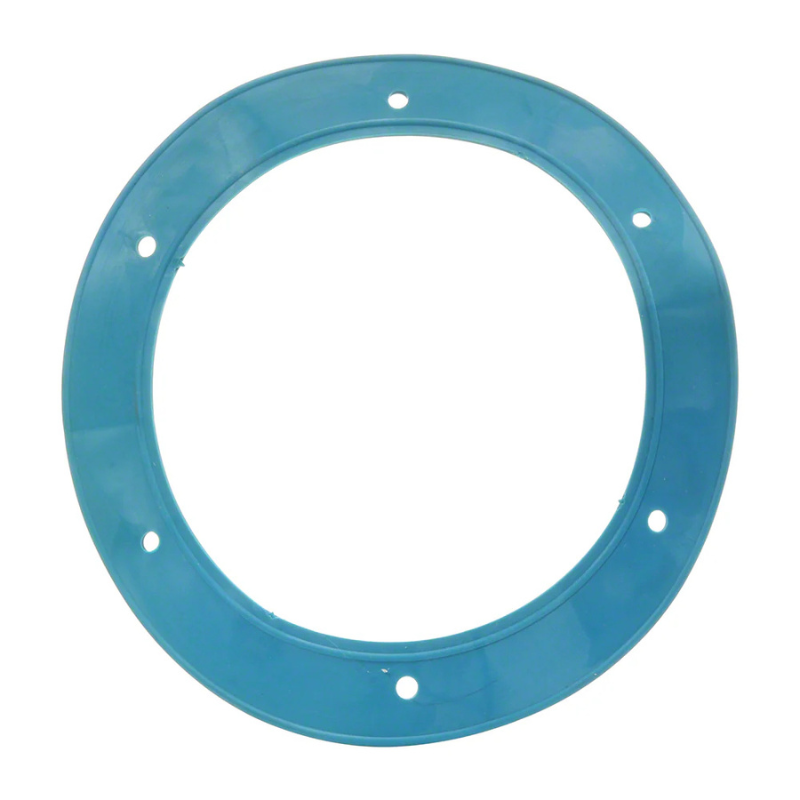 Pentair 05166-0001 - Gasket Vinyl Small Niche 07-5802