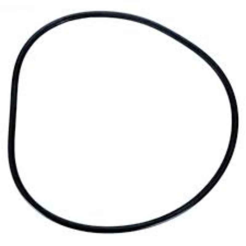 Pentair 071442Z - O-Ring Kit Channel 2000